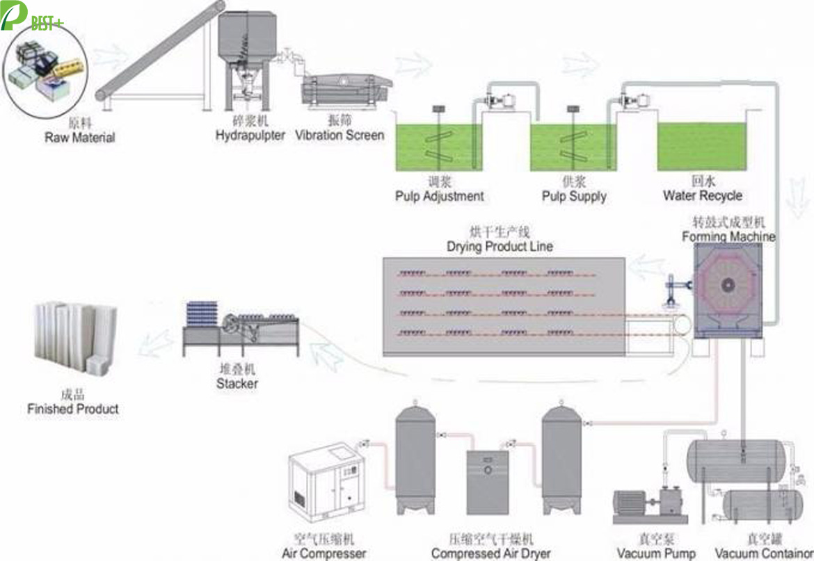 pulp egg cartons