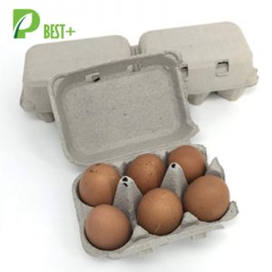 pulp egg cartons
