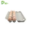 Egg Pulp Paper Carton 123