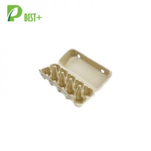 Pulp Eggs Cartons Tray