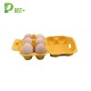 6 Pulp Eggs Cartons Tray