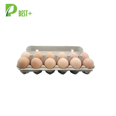 Pulp Dozen Eggs Cartons