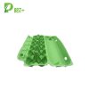 Pulp 12 Eggs Cartons Tray