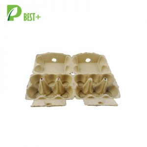 pulp 8 eggs cartons