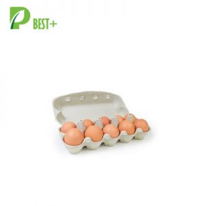 10 Eggs Pulp Cartons Box