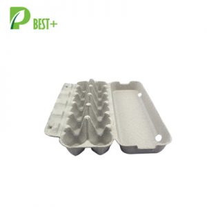 12 eggs pulp cartons Tray