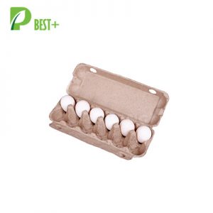 12 eggs pulp cartons Tray