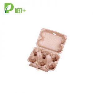 6 eggs pulp cartons Tray