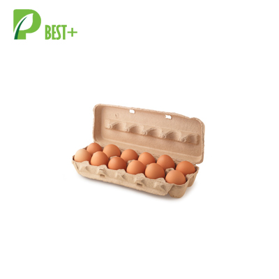 Dozen Eggs Pulp Cartons Box
