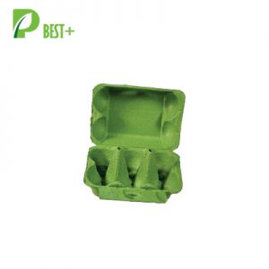 Green 6 Eggs Pulp Cartons