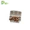 Pulp Cardboard 10 Eggs Cartons Poultry 159