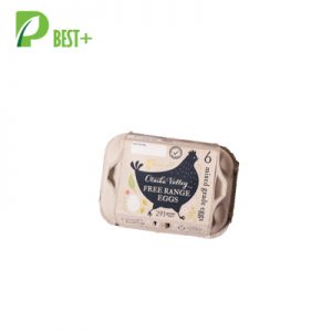 Pulp Egg Box Paper Cartons