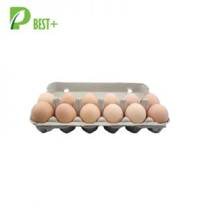 12 Eggs Cartons Sale Packaging 202