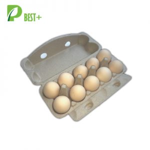 10 Cells Egg Pulp Paper Carton 215