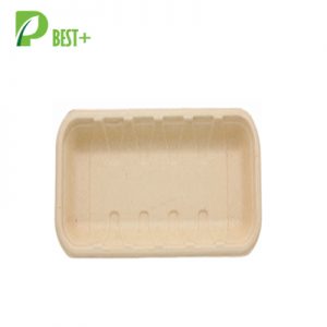 Paper Food Tray