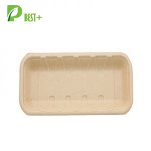 Paper Food Tray