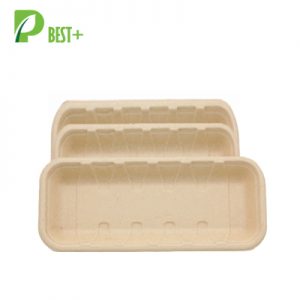 Paper Food Tray