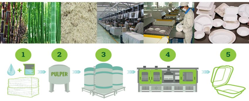 pulp paper Food container factory