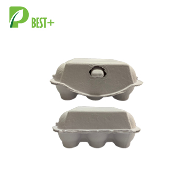 6 Holes White Egg Carton 246