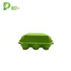 Paper Green Egg Carton