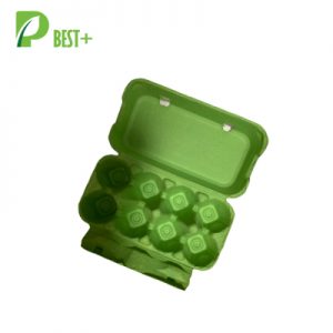 Green 8 cells Egg Carton 266