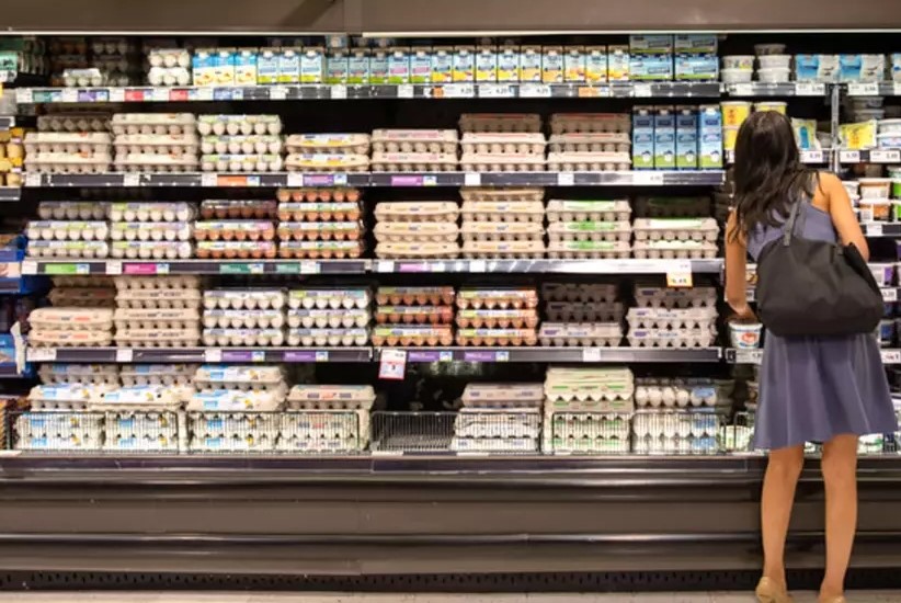 egg cartons supermarket.