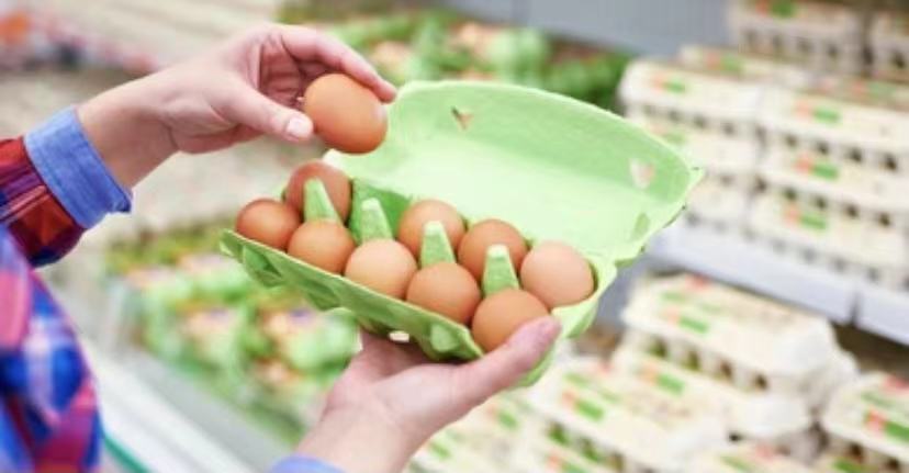 Egg Carton Sales Manufacturer