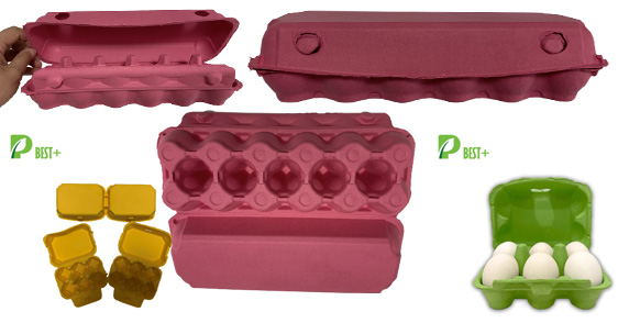 New Color Egg cartons Manufacturer