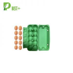 10 Holes Egg Carton 289