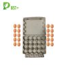 20 Holes Egg Tray 291