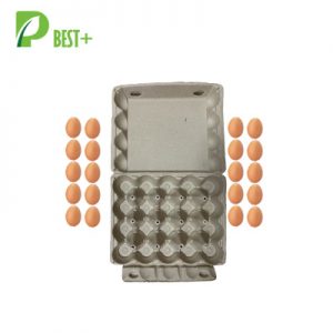 20 Holes Egg Tray 291