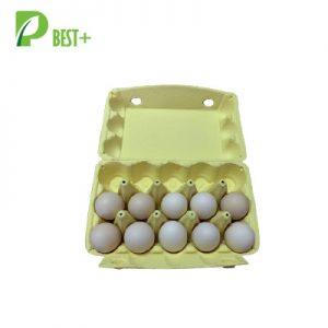 15 Holes egg cartons 293