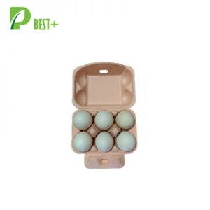 6 Cells Egg Trays 295