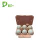 6 Holes Egg Cartons Factory