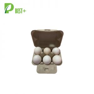 Egg Carton Egg Boxes 297