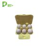 Egg Carton Packaging Factory China