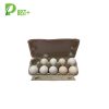 10 Holes Eggs Boxes Manfaucturer