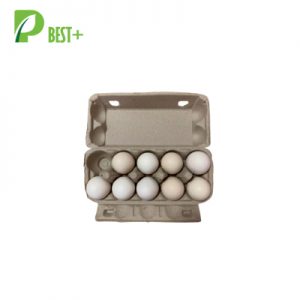 10 cells Egg Carton 310