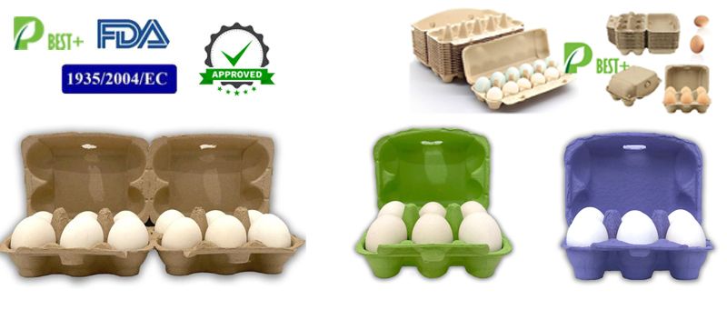 Fiber Egg Cartons Manufacturer