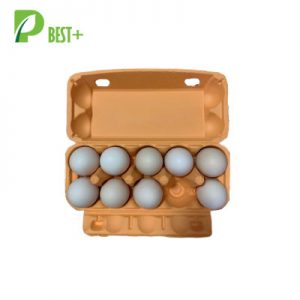 Orange 10 Cells Egg Carton 331