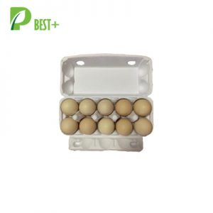 White 10 Packs Egg Carton