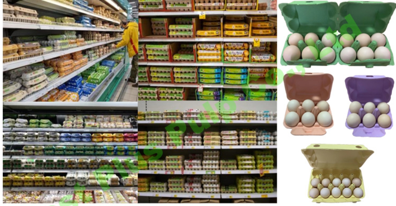 Molded Pulp vs. Plastic vs. Foam Egg Cartons