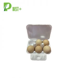 Cream Pulp Egg Carton 383