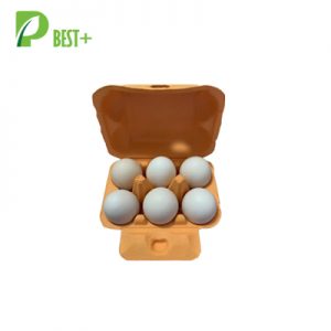 Orange Pulp Egg Packs 389