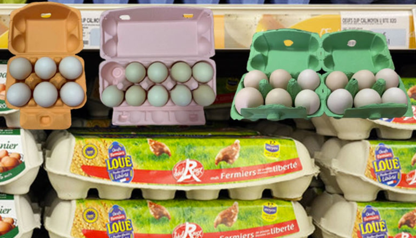 Molded Pulp Egg Carton Molded Custom Pulp Tray Factory