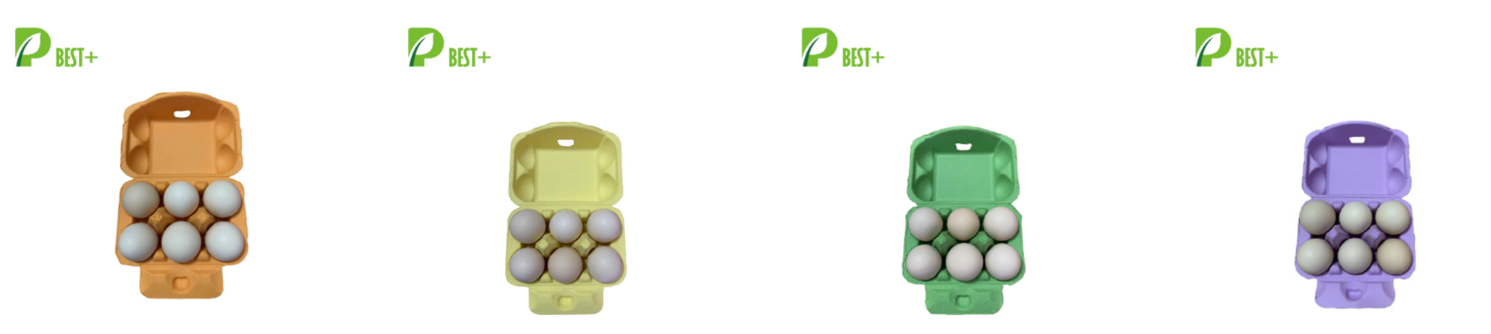 The Purple Egg Carton Factory Egg Tray Manufacturer Egg Box Producer Importer