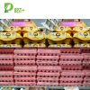 Egg Pulp Paper Carton 02