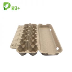 Egg Pulp Paper Carton 124