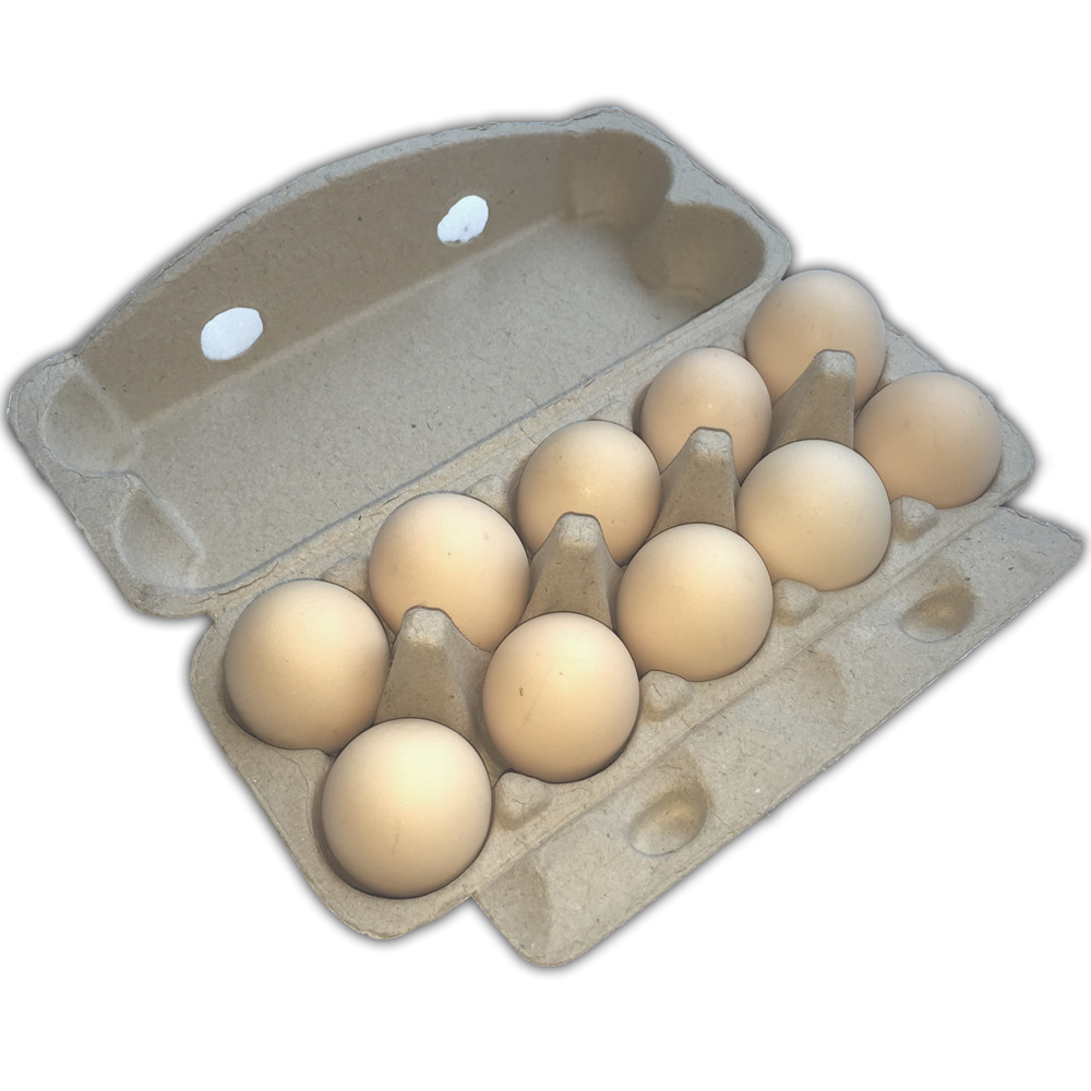 American Farm Pulp Egg Carton Tray