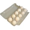 egg cartons factory